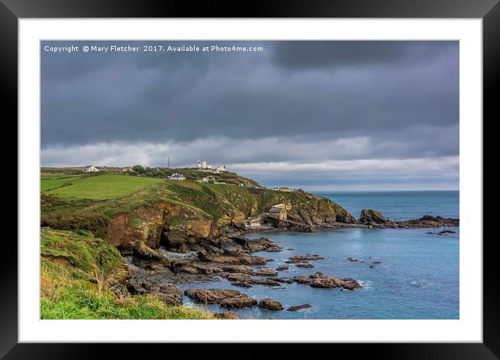 Lizard Point Framed Mounted Print by Mary Fletcher