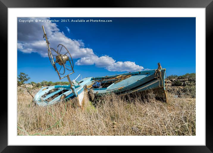 Grounded! Framed Mounted Print by Mary Fletcher