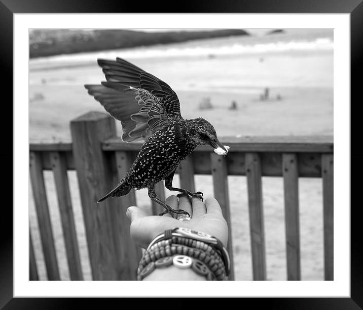 A Bird in the Hand Framed Mounted Print by Hippy Soul