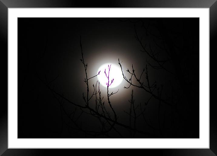 Full Moon Framed Mounted Print by stacey meyer