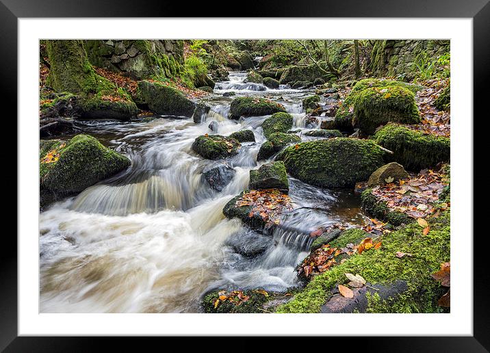 kennall vale Framed Mounted Print by Kelvin Rumsby