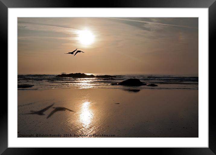 Flying birds Framed Mounted Print by Kelvin Rumsby