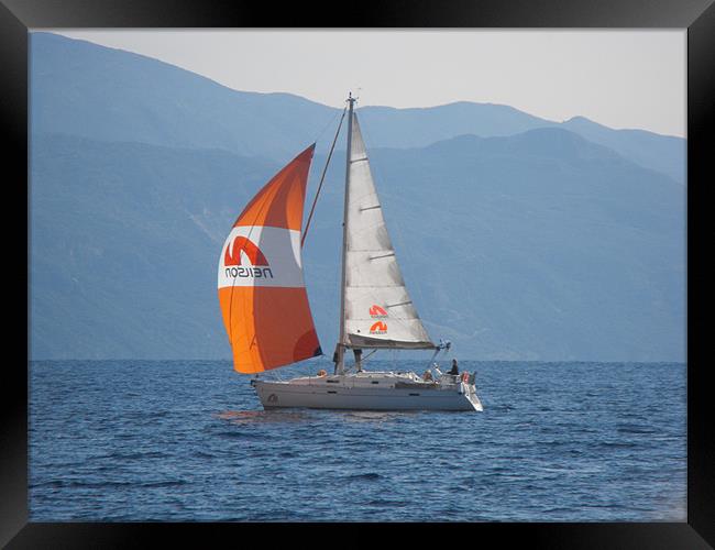Youht with orange sail Framed Print by Rodney Leith