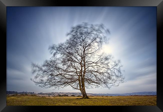 Alone in the Wind Framed Print by sam moore