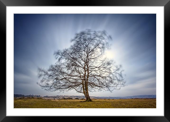 Alone in the Wind Framed Mounted Print by sam moore