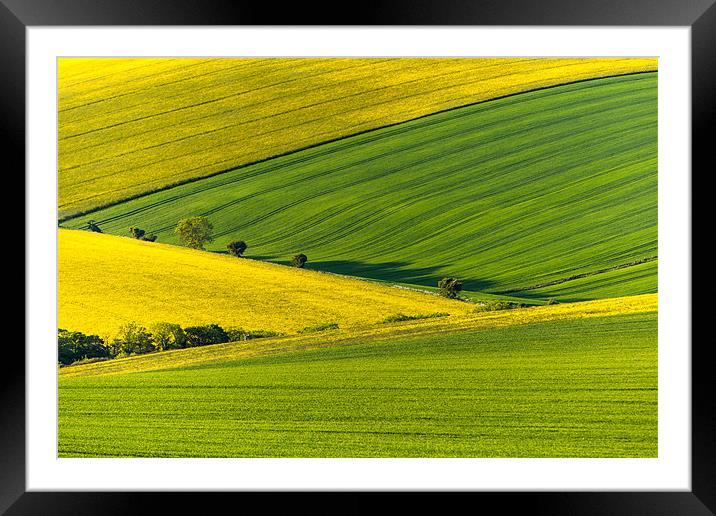 Yellow and Green Framed Mounted Print by sam moore