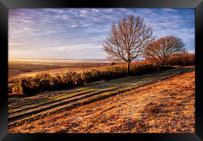 Morning Colour Framed Print by sam moore