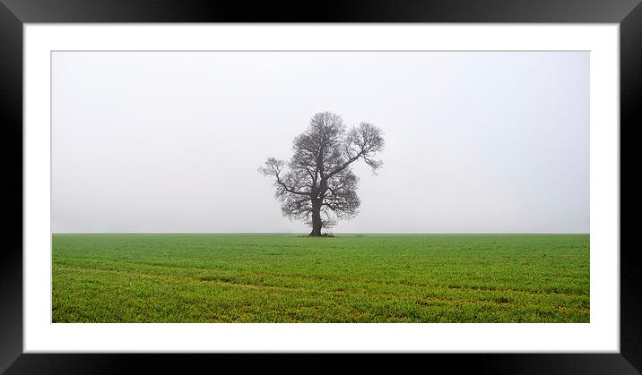 Lonely One Framed Mounted Print by sam moore