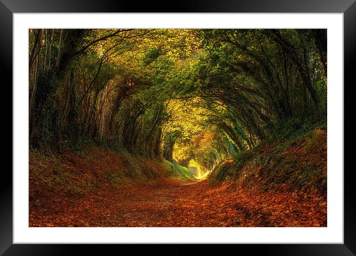  The Tunnel Framed Mounted Print by sam moore