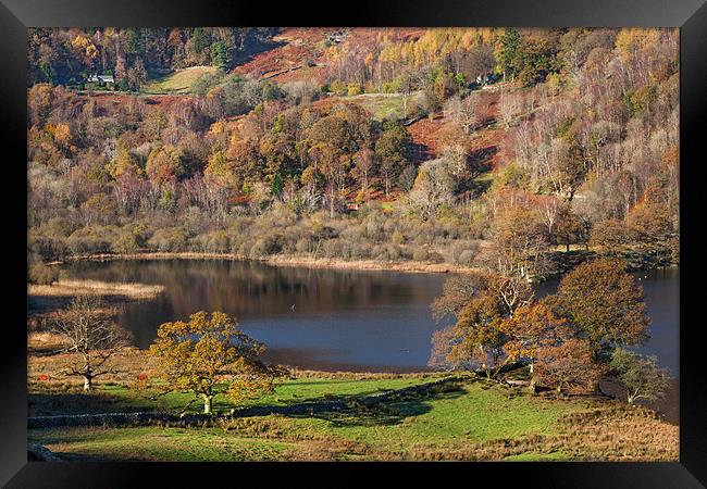 Rydal Water in Autumn Framed Print by Ian Duffield