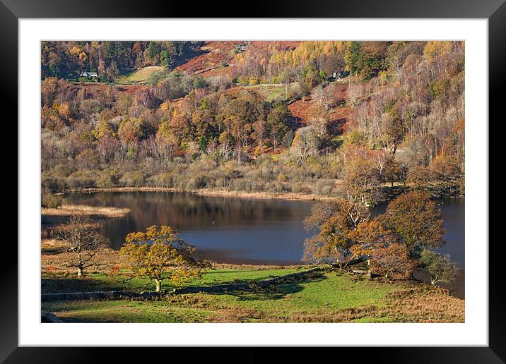 Rydal Water in Autumn Framed Mounted Print by Ian Duffield