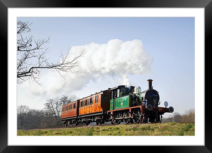  South Eastern Local Train Framed Mounted Print by Ian Duffield