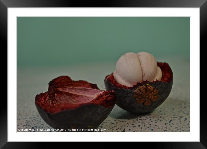 Purple Mangosteen Framed Mounted Print by Telmo Zaldivar Jr