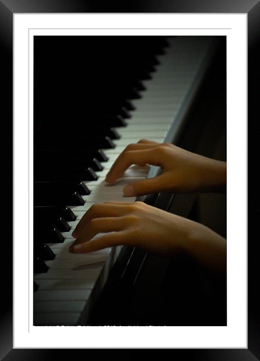 Piano Playing Framed Mounted Print by Telmo Zaldivar Jr