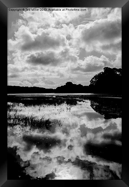 Perranarworthal Estaury Framed Print by Ted Miller