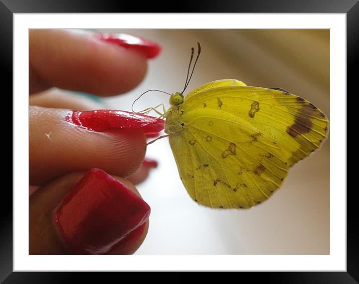 Butterly in hand Framed Mounted Print by Preethy S