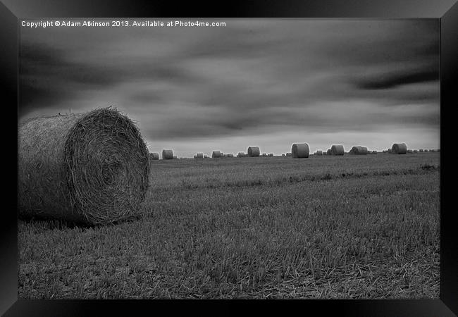 Autumn Hay  Harvest Framed Print by Adam Atkinson