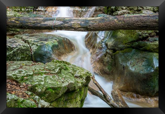 slow motion     Framed Print by Ferenc Verebélyi