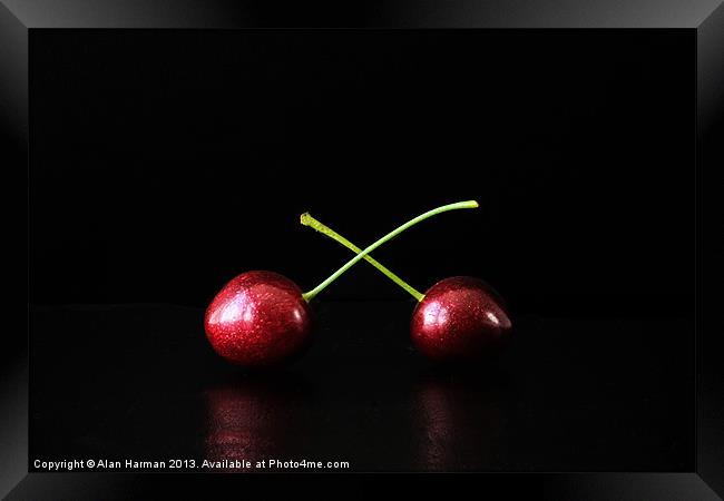 Two Cherries Framed Print by Alan Harman