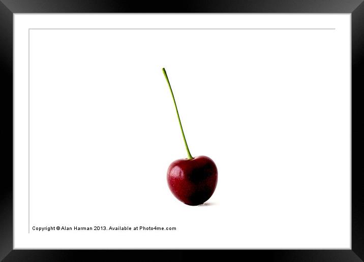 One Sweet Cherry Framed Mounted Print by Alan Harman
