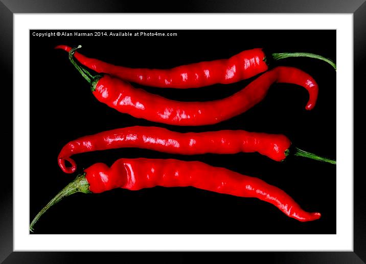Four Red Chilies Framed Mounted Print by Alan Harman