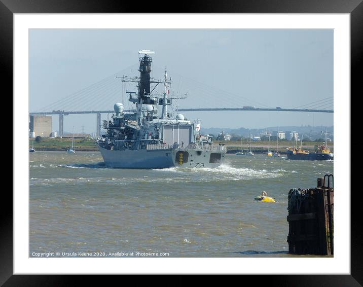 HMS Portland at QE Bridge  Framed Mounted Print by Ursula Keene