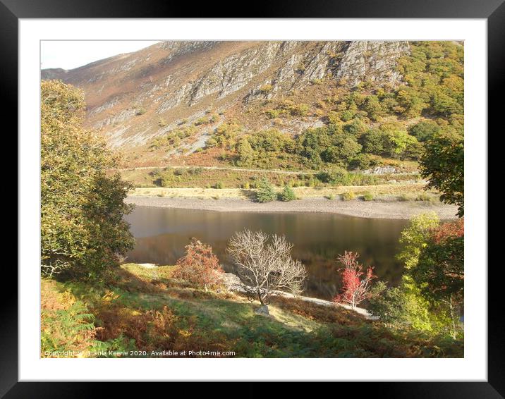 Shores of Reservoir in Elan Valley Wales  Framed Mounted Print by Ursula Keene