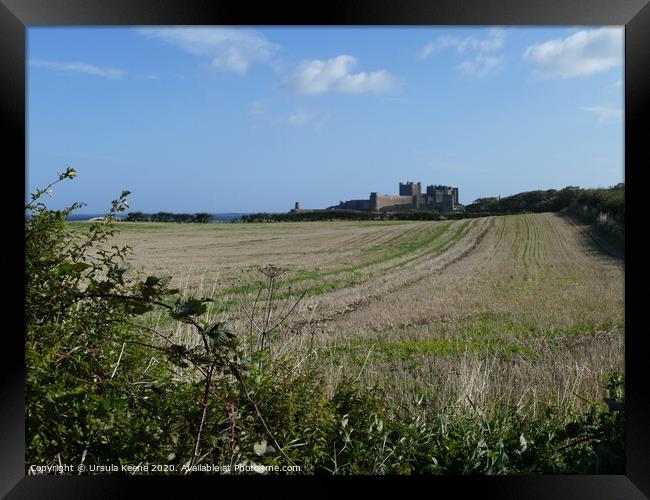 My first view of Bamburgh Castle  Framed Print by Ursula Keene