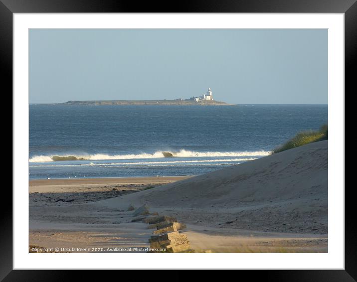 Coquet Lighthouse from Alnmouth Beach Northumberland  Framed Mounted Print by Ursula Keene