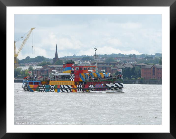 MV Snowdrop crossing the River Mersey  Framed Mounted Print by Ursula Keene