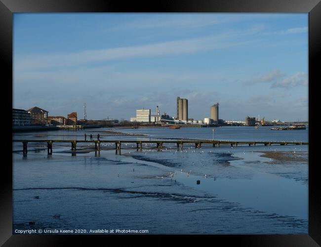 Low tide on River Thames at Erith Kent Framed Print by Ursula Keene