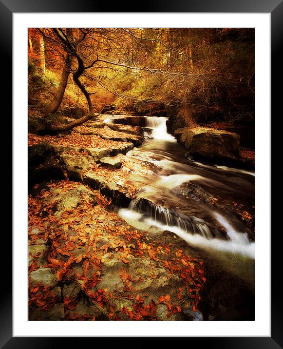 Autumn In The Glen Framed Mounted Print by clint hudson