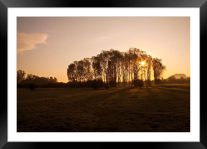 Morning sunrise Framed Mounted Print by Barbara Ambrose