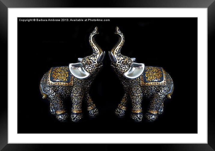 Two by Two Framed Mounted Print by Barbara Ambrose