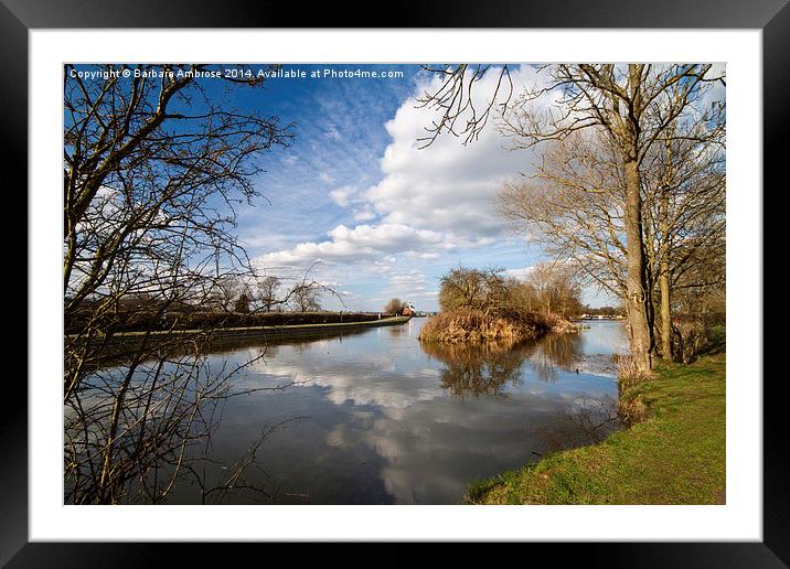 Sky reflections Framed Mounted Print by Barbara Ambrose