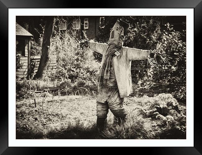 Scarecrow Framed Print by Tracy Hughes