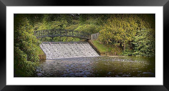Sheffield Park waterfall Framed Mounted Print by Tracy Hughes