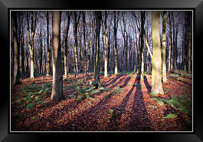 Autumn Carpet Framed Print by Sandra Thompson