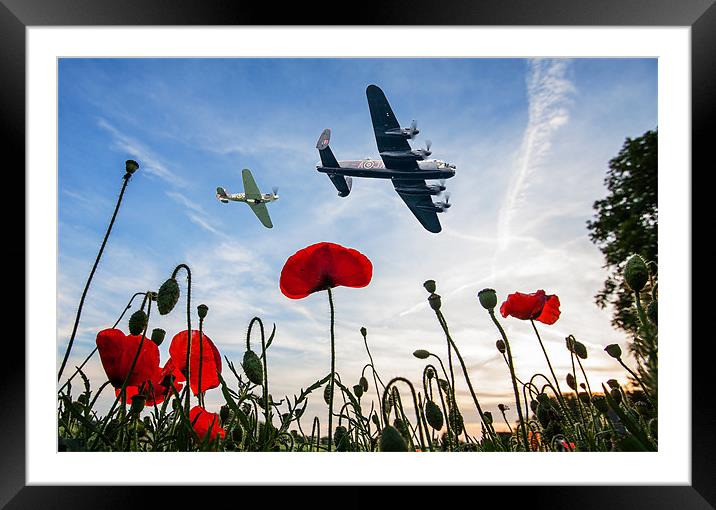 Lancaster & Spitfire over Poppy Field Framed Mounted Print by Robert  Radford