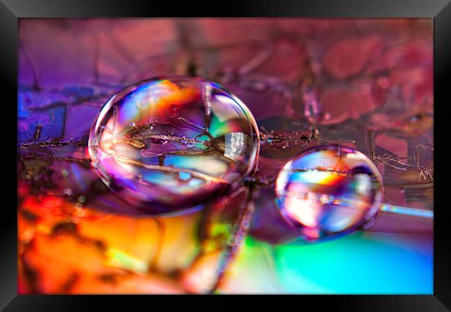 Rainbow drops Framed Print by Krzysztof Gladzik