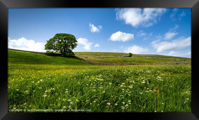 Yorkshire Dales Meadow Framed Print by nick coombs
