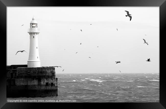 Dover breakwater lighthouse Framed Print by nick coombs