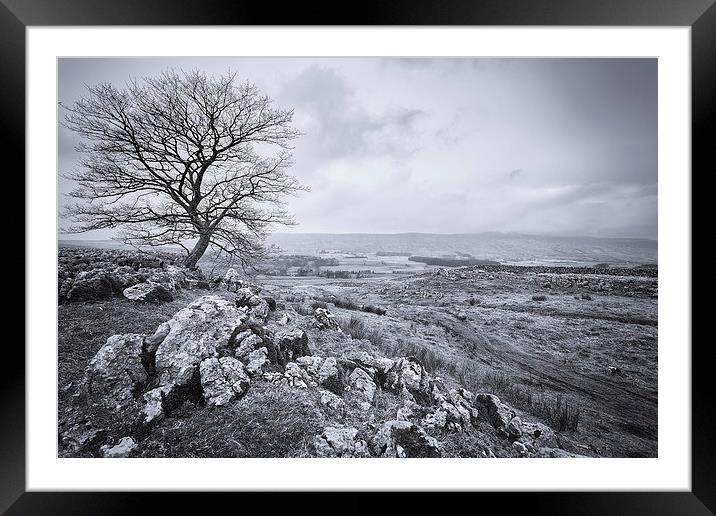 Limestone Edge Framed Mounted Print by nick coombs