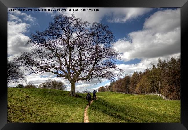 Walking in Wensleydale Framed Print by Beverley Middleton