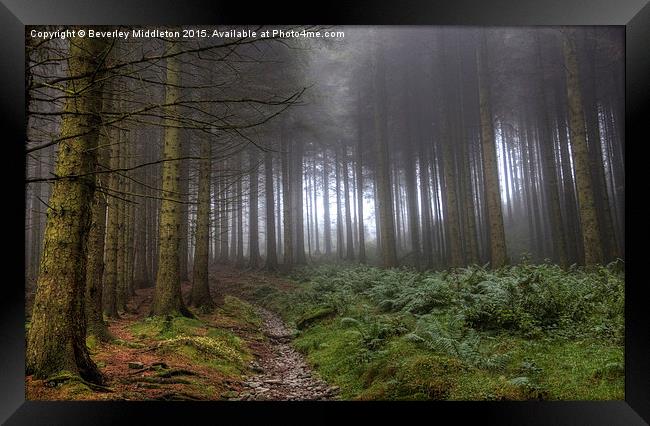  Into the forest Framed Print by Beverley Middleton