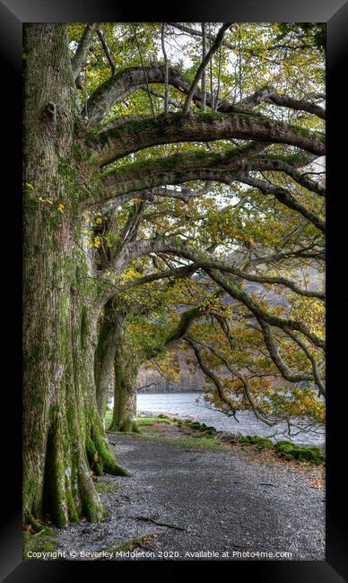 Buttermere Shore  Framed Print by Beverley Middleton