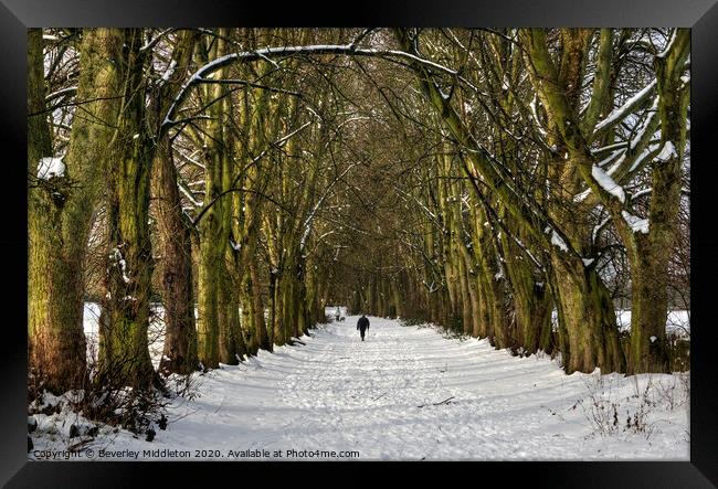 Winter in Rawdon Framed Print by Beverley Middleton