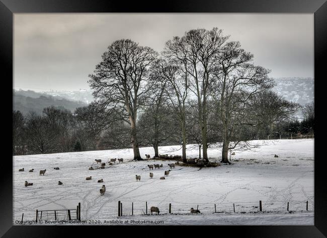 Winter in Wharfedale Framed Print by Beverley Middleton
