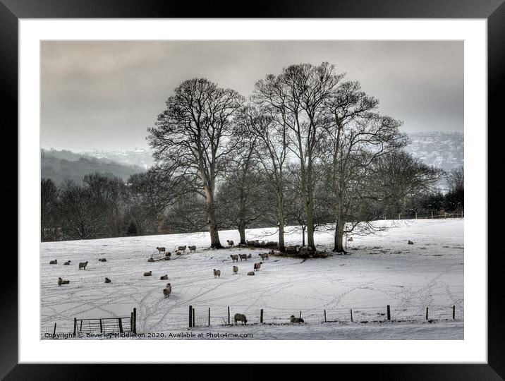 Winter in Wharfedale Framed Mounted Print by Beverley Middleton