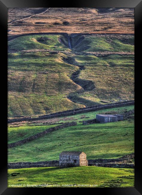 Swaledale barns in late afternoon light Framed Print by Beverley Middleton